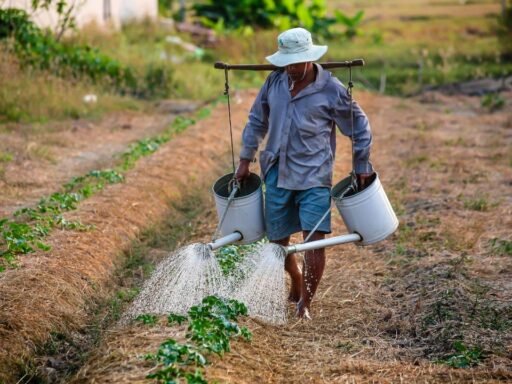 Agriculture